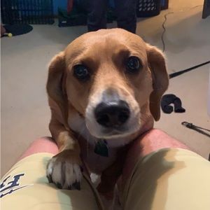 Meet your Posher, Andy